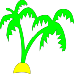 Palm Trees 12