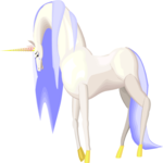 Unicorn 14