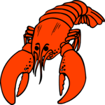 Lobster 6