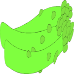 Asparagus 07