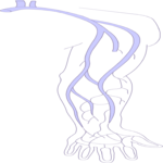Vasculature - Arm 3