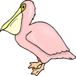 Pelican 6