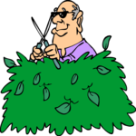 Trimming Hedges 1
