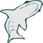 Shark 10