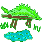 Crocodile