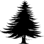 Tree 046