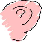 Ear 9