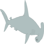 Shark - Hammerhead 2