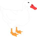 Duck 01