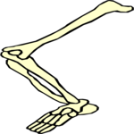 Leg 2
