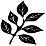 Leaf 5