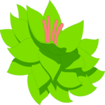 Plant 057