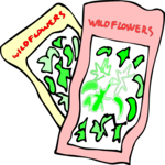 Seeds - Wildflowers