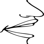 Mouth - Open