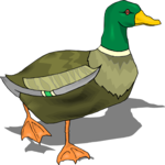 Duck - Mallard 2
