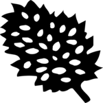 Leaf 040