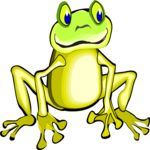 Frog 21