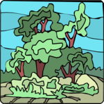 Trees 22