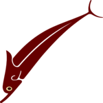 Dolphin 1