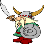 Viking 22