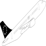 Plane 029