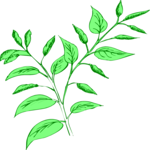 Leaves 87