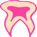 Tooth 09