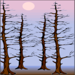Trees 18