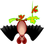 Bat 10
