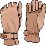 Gloves 15