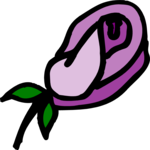 Rose 52