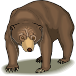 Bear 22