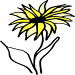 Flower 127