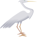 Egret 3