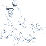 Seals Playing Basketball