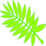 Leaves 24