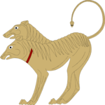 Dog - 2 Headed