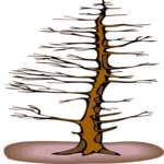Tree 185