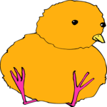 Chick Sitting
