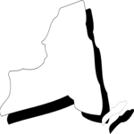 New York 11