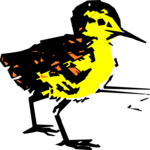 Bird 012