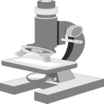 Microscope 06