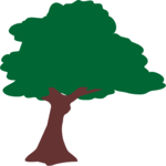 Tree 032