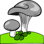 Mushrooms 05