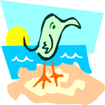 Bird - Beach