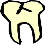 Tooth 22
