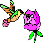 Hummingbird & Flower