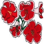 Flower 325