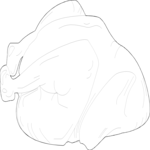 Chicken (2)
