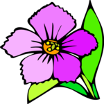 Carnation 8